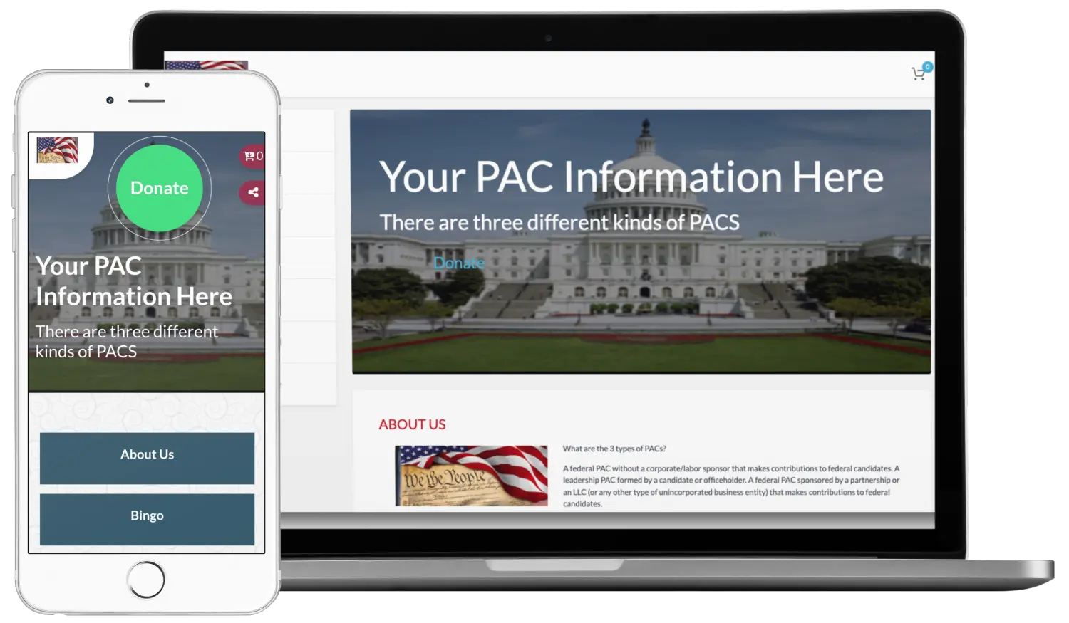 Political Campaigns Fundraising